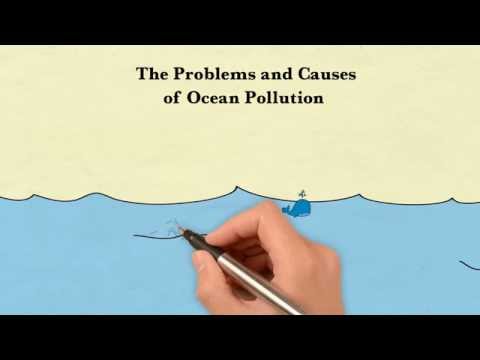 Marine debris impacts image