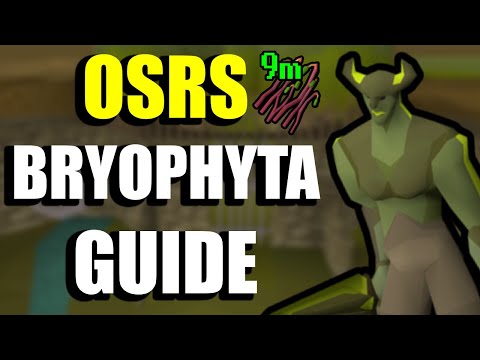 OSRS Bryophyta Guide - F2P Friendly