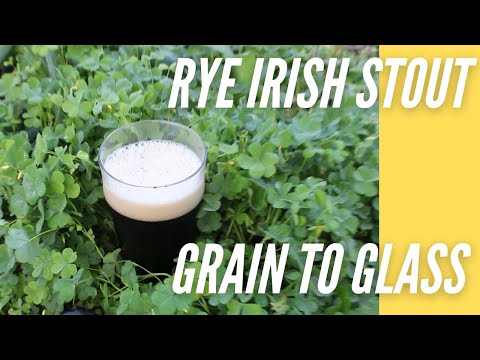 Ryerish Stout | Rye Irish Stout | Belated Saint Patrick's Day Brew | Grain to Glass