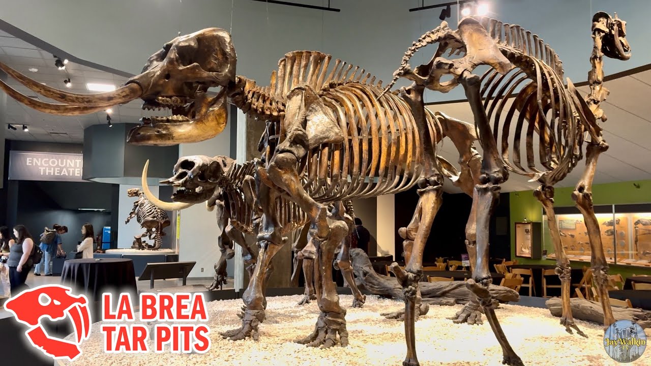 🐪La Brea Tar Pits🐘| Los Angeles, California 🇺🇸 [4K]