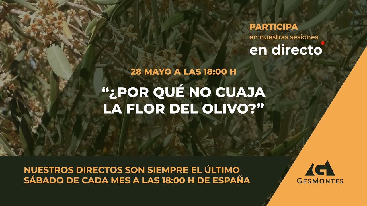 Watch ¿Por qué no Cuaja la Flor del Olivo Now ¿Por qué no Cuaja la Flor del Olivo