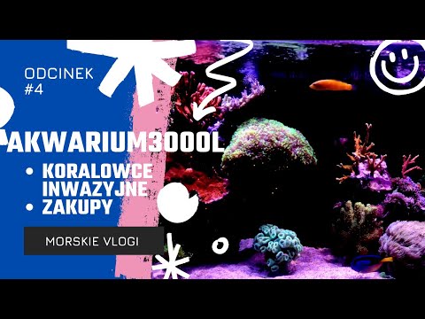 #4 🎥Morskie Vlogi - Akwarium 3000l , Zakupy, koralowce inwazyjne #akwarium #akwarystyka