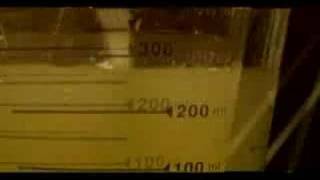 Cattle Decapitation - reduced to paste