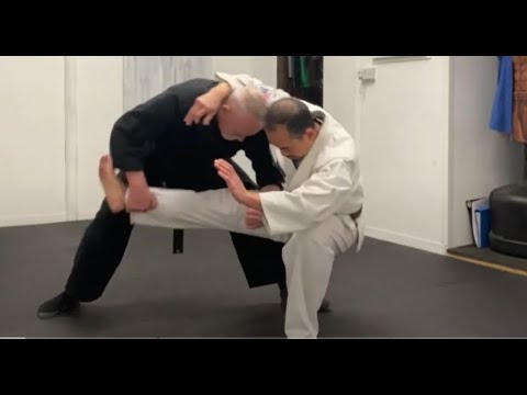 Leg Throws - defence from a straight punch, single hook, & a right/left hooks - Orange Belt Syllabus