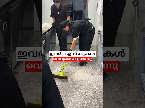 ജപ്പാനിലെ ഐസ് ക്ലീനിങ് കണ്ടോ #shorts #malayalam #resturant