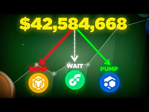 The Kings of Pump and Dumps: DWF Labs