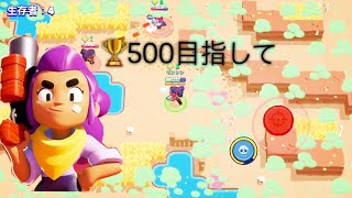 ブロスタ シェリー🏆500目指して