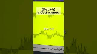 体育祭でこの曲流れててめっちゃ思い出です #歌ってみた #シグナル #WANIMA
