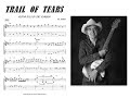 Trail Of Tears guitar solo by Eric Johnson #guitarsolo #ericjohnson