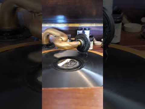 Farewell to Arms - (vocal Jack Fulton) Paul Whiteman and his Orchestra  Victor Records #24236