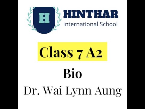 Bio   Dr Wai Lynn   Year 7A2   7 June 2023