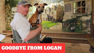 NEW FOREST WALK AT ASHLEY WALK (AND A GOODBYE FROM LOGAN) (4K)