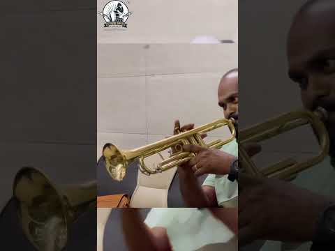 Immagine SOUND SAGA® DW Model Trumpet With All Accessories Including Mouthpiece & Case. - 7