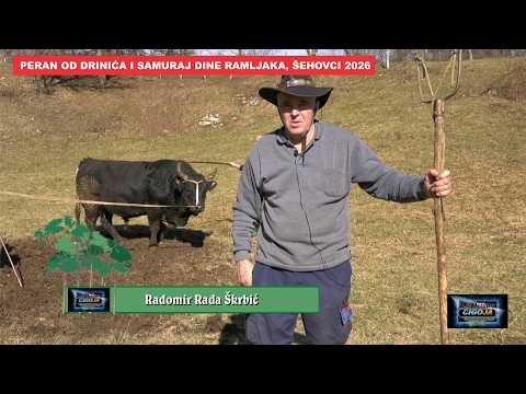 - PERAN BRAĆE DRINIĆ DOČEKUJE SAMURAJA DINE RAMLJAKA, ŠEHOVCI 2026 KORIDA KOD RAĐE