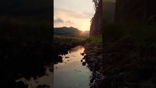Download lagu cinematic sawah sunset#storywa #shorts #cinematicvideo #cinematicsore#mentahanvideo #sunset mp3