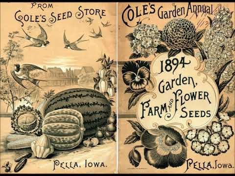 DDR Krimi Hörspiel Plesskauer Harte 1975