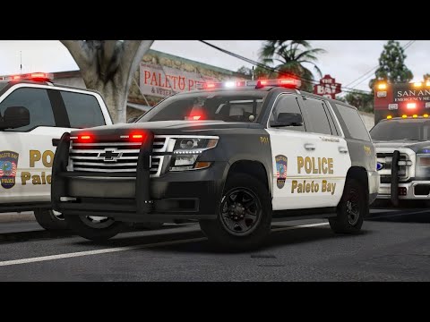 GTAV LSPDFR #1 SHERIFF ON DUTY! ALLEYWAY ROBBERY (NO COMMENTARY) 2025 #gtav #lspdfr #sheriff