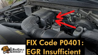 EGR Clean Up: Fix Code P0401 EGR Insufficient  (Ford F150)