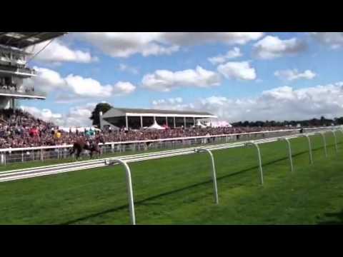 Frankel parade after Juddmonte international win York