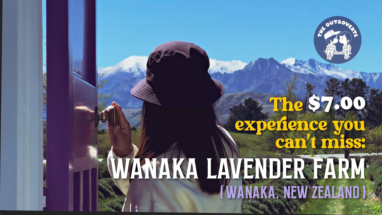 Experience an enticing virtual tour of Wanaka Lavender Farm.