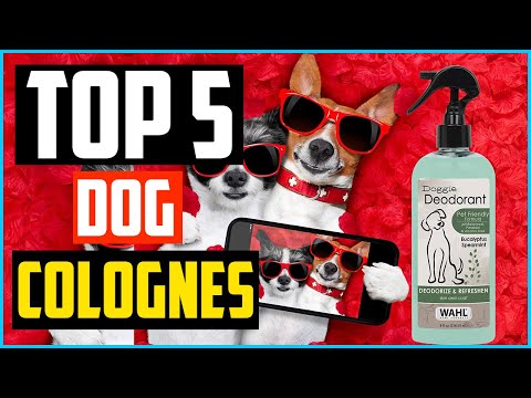 YouTube video about: What is the best smelling dog cologne?
