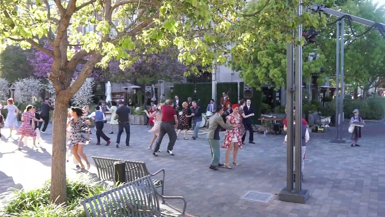 Promotional video thumbnail 5 for Flash Mob Entertainment