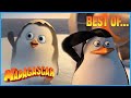 Best Of Private Penguin Penguins Of Madagascar Mini Moments