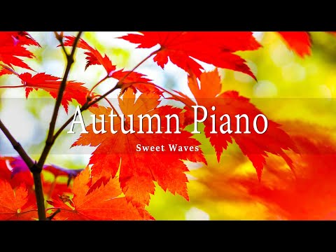 11 HRS Incredible Fall Foliage - Best 4K Autumn Nature Scenes from Around the World + Calming Music