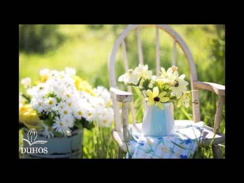 O neizrecivom otajstvu Presvetoga Trojstva (Iv 16,12-15)