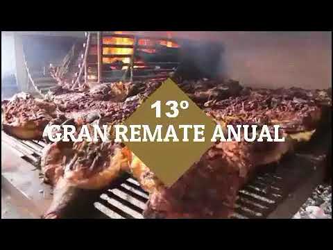 Remate Anual Reproductores Angus Estancia Don Pastor