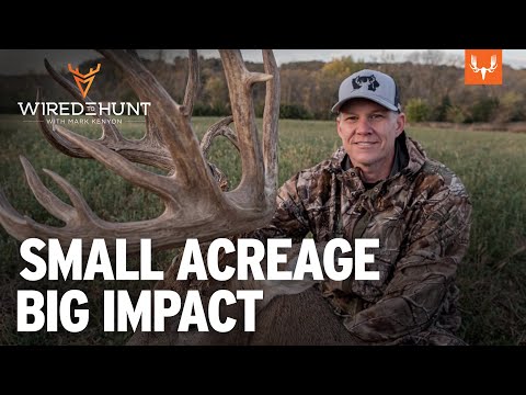 Small Acreage, Big Impact: Habitat Strategies That Work | Wired to Hunt Ep. 892