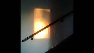 Black-Ravel in the rain