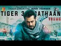 Tiger 3 X Pathaan Theme Salman Khan Emraan Hashmi Katrina Kaif