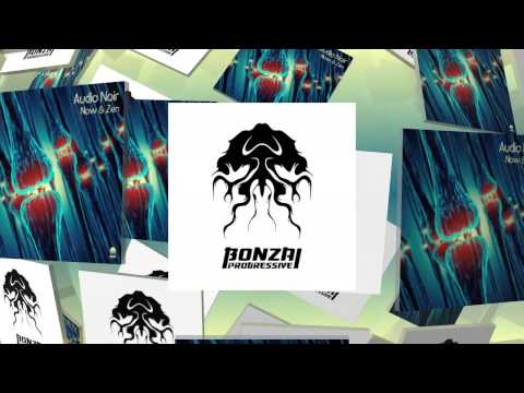 Audio Noir - The Hawthorne Effect - Zen Mix (Bonzai Progressive)
