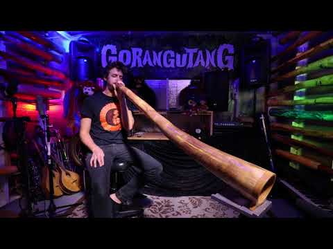 Agave Multidrone Didgeridoo in E - AG009