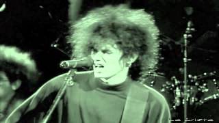 Caifanes - Te Estoy Mirando