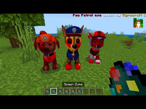 REALISTIC 3D Paw Patrol.Exe ADDON in Minecraft PE