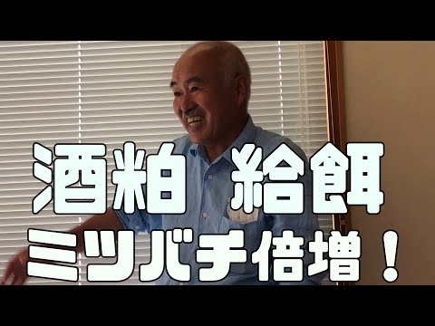 , title : '酒粕給餌でミツバチ倍増可能！　「か式」養蜂開発者　金太郎氏の研修にて　ミツバチ健康増進に最強の給餌方法　アカリンダニ予防効果　驚きのミツバチ増殖！！【日本ミツバチ庭先養蜂】【庭先養蜂家】【か式養蜂】'