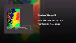 Fields of Marigold