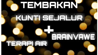 Download lagu Masteran KUNTI , PLECI NEMBAK KUNTI sejalurr Dan TERAPI AIR   BRAINWAVE mp3
