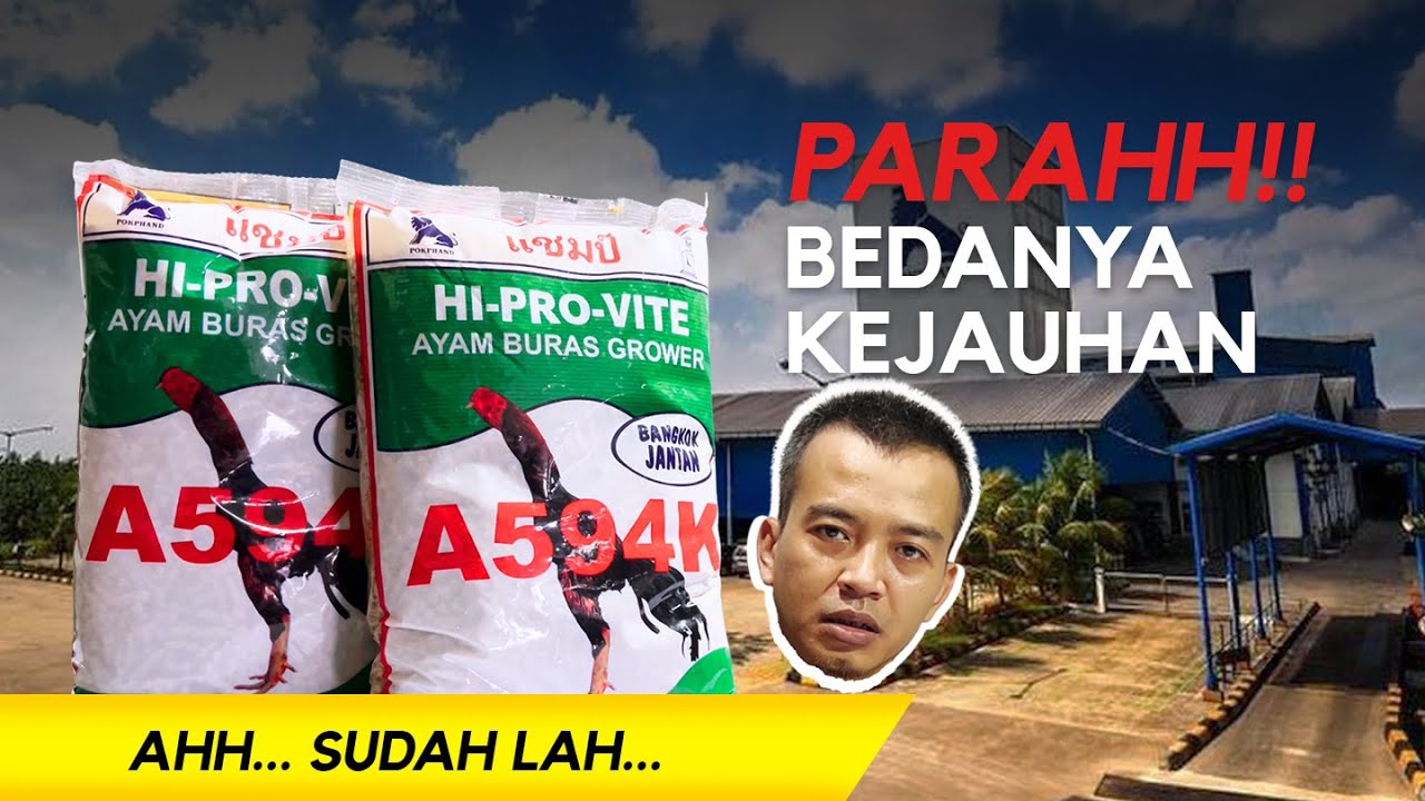 ASLI INI PARAH !! GAK PALSU tapi protein bisa jauh gitu. A594K produk CPI Demak VS Sidoarjo