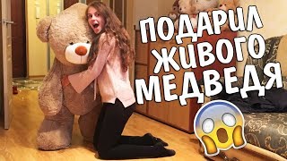 ПОДАРИЛ ЖИВОГО МЕДВЕДЯ ТЕДДИ