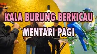 Download lagu Kala burung berkicau mentari pagi | Kala burung berkicau mp3 Download lagu Kala burung berkicau mentari pagi | Kala burung berkicau mp3