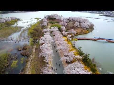 Devocional#427. 1 Pedro 4:8. É mais pesado odiar.