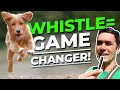Whistle For Recall Training This Tool ABSOLUTELY Makes My Dogs Run To Me Every Single Time