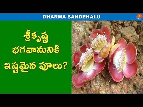 Favourite Flowers of Lord Krishna | Dharma Sandehalu | Bhakthi Tips | Jai Media