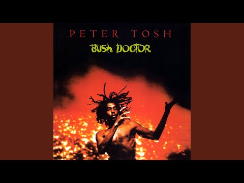 Bush Doctor (2002 Remaster)