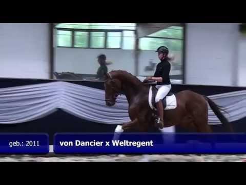 von Dancier x Weltregent