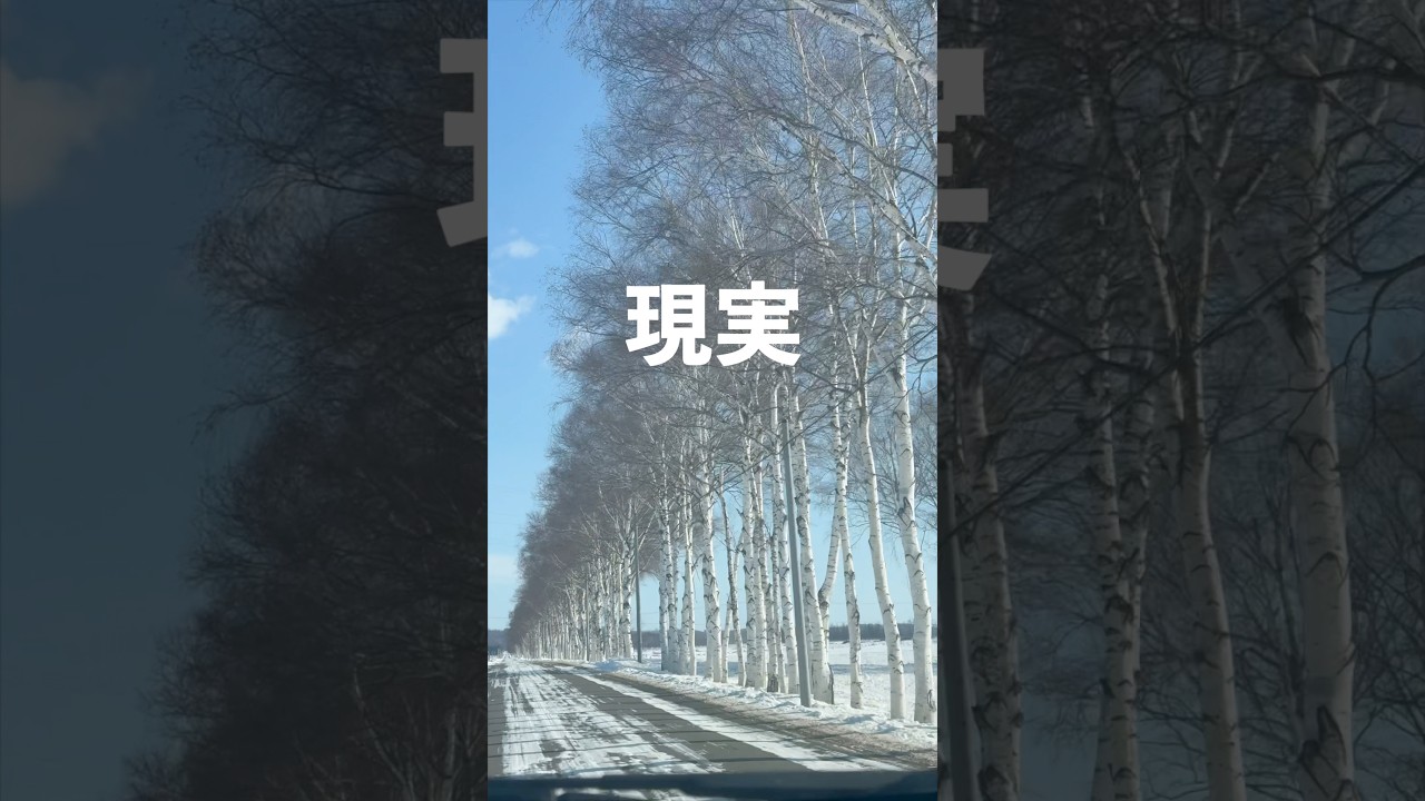 北海道の人気ロケ地の理想と現実。#国内旅行 #japantravel #絶景