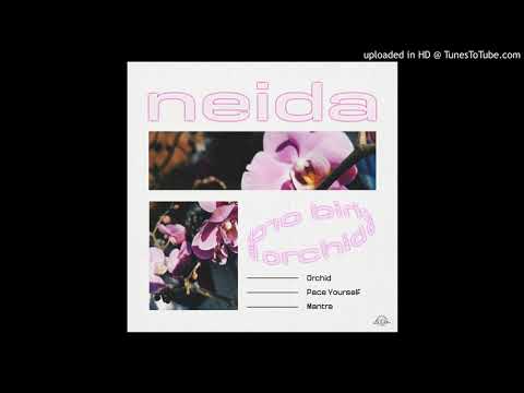 PREMIERE | Neida - Pace Yourself [Le Ciel] 2020